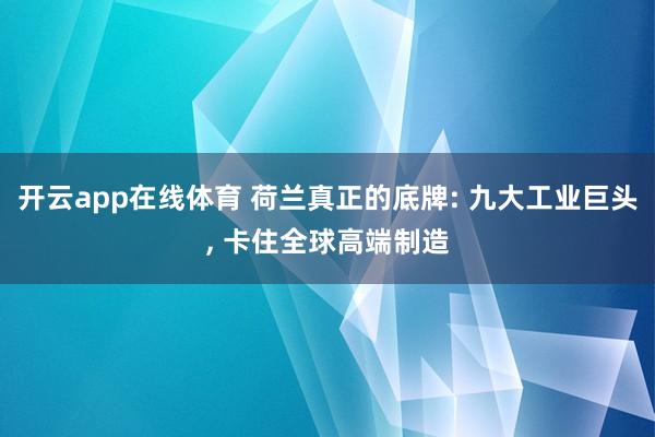 开云app在线体育 荷兰真正的底牌: 九大工业巨头, 卡住全球高端制造