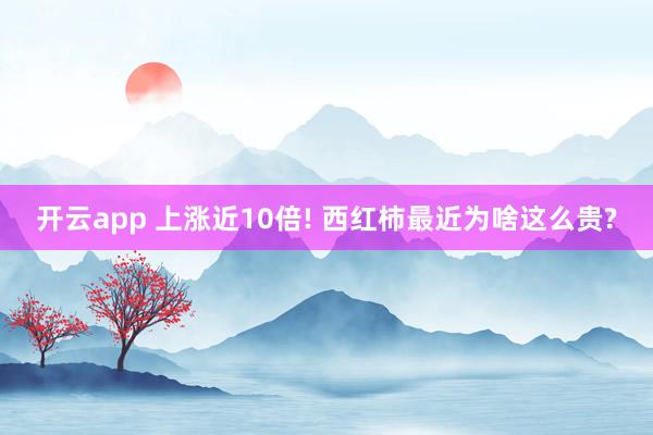 开云app 上涨近10倍! 西红柿最近为啥这么贵?