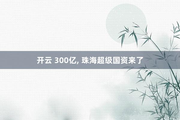 开云 300亿, 珠海超级国资来了