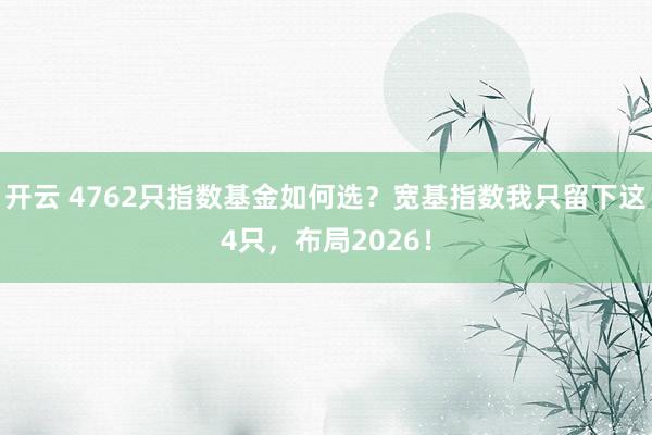 开云 4762只指数基金如何选？宽基指数我只留下这4只，布局2026！