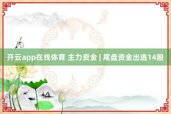 开云app在线体育 主力资金 | 尾盘资金出逃14股